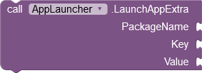LauchAppExtra